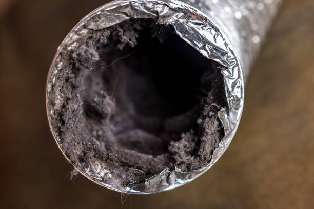 Best HVAC System Cleaning  in Manitou Beach Devils Lake, MI